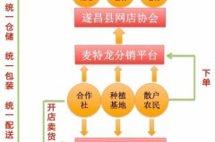 网店怎么注册开网店？详细步骤和平台选择指南