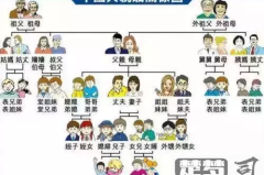 父亲的弟弟怎么称呼？中文亲属称谓全解析