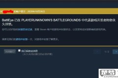 steam被盗号卖了一堆东西