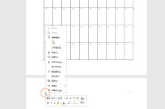 word自动删除后面的字怎么取消