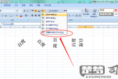 Excel字体设置不了100