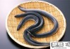 海鳗鱼怎么做才好吃？掌握这些技巧让你的海鳗鱼美味翻倍