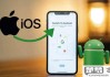 怎么查自己手机id？安卓和iOS设备查询方法全解析