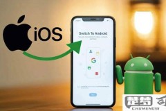 怎么查自己手机id?安卓和iOS设备查询方法全解析