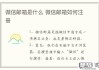 微信邮箱格式怎么写？完整指南与常见问题解答
