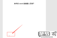 Word怎么插入页码？详细步骤与技巧全解析