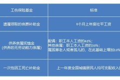 公司倒闭员工怎么赔偿？详细解读赔偿标准与申请流程