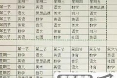 excel表格换行的快捷键