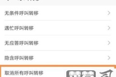 手机呼叫转移怎么解除?详细步骤与常见问题解答