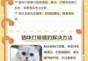 猫咪老打喷嚏怎么办？原因与家庭护理全指南