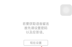 苹果手机发不出语音咋回事