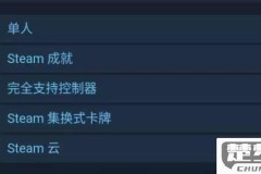 Steam怎么升级？客户端和账户等级提升全攻略