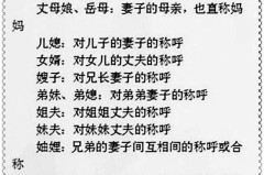 家庭成员称谓怎么写？完整指南与规范解析