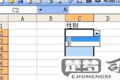 电子表格二级下拉菜单