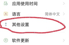 oppo开发者模式有什么用