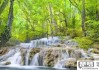 小溪的声音怎么形容？探索溪流声的细腻描写与录音资源