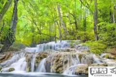 小溪的声音怎么形容？探索溪流声的细腻描写与录音资源