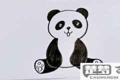 熊猫怎么画漂亮又简单?初学者必备的绘画技巧