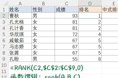 Excel怎么排名？RANK函数使用教程与不重复排名技巧