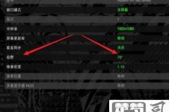 看门狗2怎么设置中文？详细步骤与解决方案