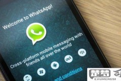 Whatsapp如何加陌生好友