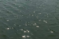 波光粼粼的粼怎么写？正确笔画顺序与含义解析
