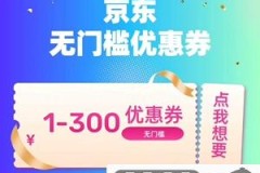 平台无门槛优惠券300元