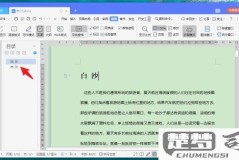 WPS怎么显示目录?详细步骤与问题解决指南