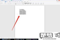 如何在Microsoft Word和WPS中设置行间距为20磅?