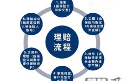 中华联合车险怎么样？全面解析其优势、理赔流程及客户评价