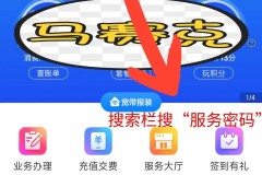 怎么查自己的服务密码？三大运营商查询方法全解析