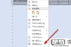 word自动换行符在哪里设置