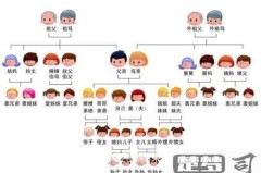 爸爸的嫂子怎么称呼?中国传统亲属称谓详解