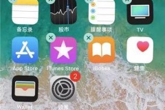 苹果手机怎么清内存?详细步骤与技巧分享