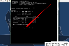 电脑怎么看ip地址?Windows、macOS和Linux系统详细教程
