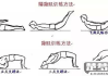腰间盘突出怎么缓解？有效的物理治疗与运动康复方法