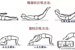 腰间盘突出怎么缓解？有效的物理治疗与运动康复方法