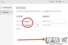 WPS怎么设置密码？详细步骤与安全性分析