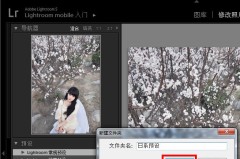 lightroom预设怎么导入