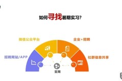 大三暑假实习怎么找？精准定位与高效投递全攻略