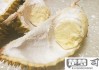 榴莲没熟剥开了怎么办？快速催熟与保存方法全解析