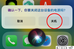 苹果强制关机怎么关？不同iPhone机型的正确操作步骤