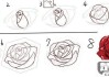 花朵怎么画简单好看？初学者必备的绘画技巧