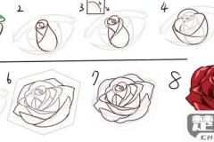 花朵怎么画简单好看?初学者必备的绘画技巧
