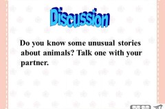 discussion翻译成中文