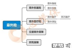 意外伤害保险怎么买？全面指南与注意事项