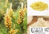 松花粉怎么吃效果最好？最佳食用时间与搭配方法全解析
