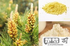 松花粉怎么吃效果最好？最佳食用时间与搭配方法全解析