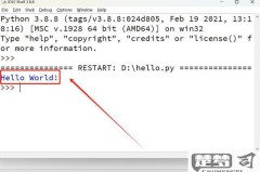 python怎么运行？详细步骤与常见问题解答