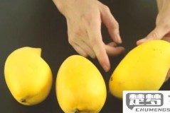 芒果皮怎么剥最方便?3种简单方法教你快速剥芒果皮